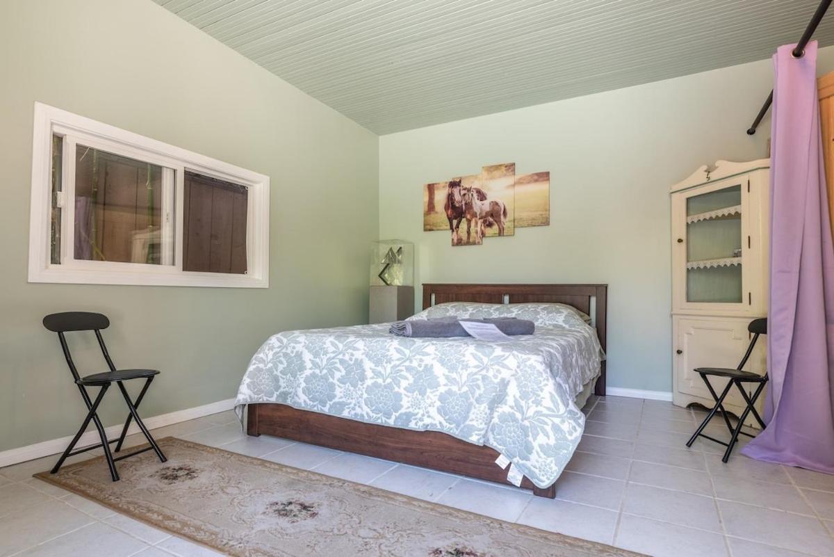 Pool Room - Entire Guest Suite - Private Entrance 圣地亚哥 外观 照片